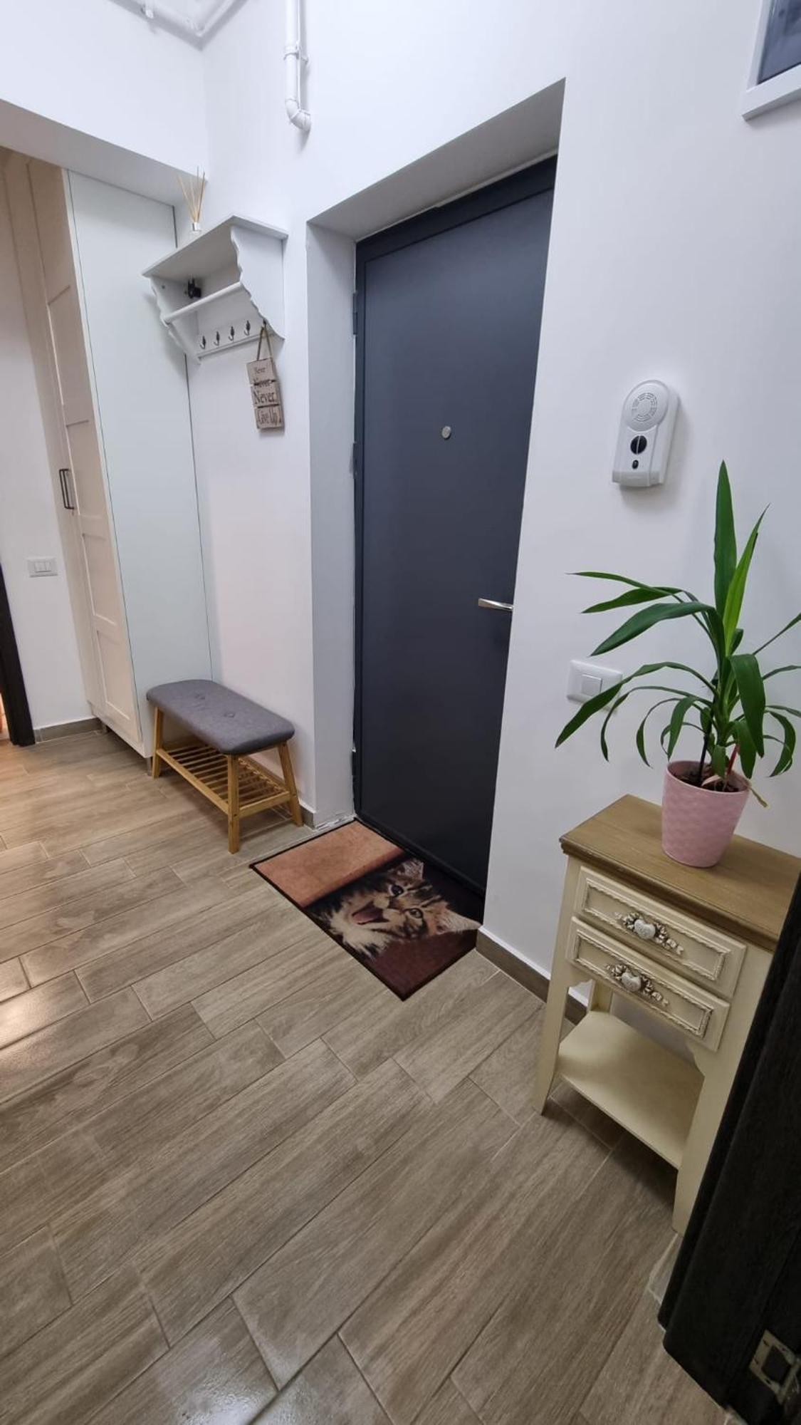 Cozy Pallady 布加勒斯特